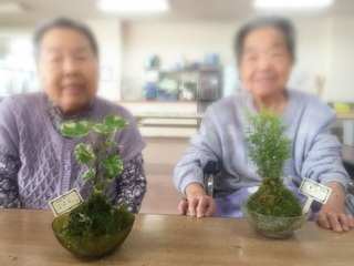 2015_苔玉_06.JPG