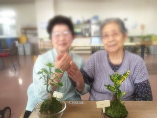 2015_苔玉_07.JPG